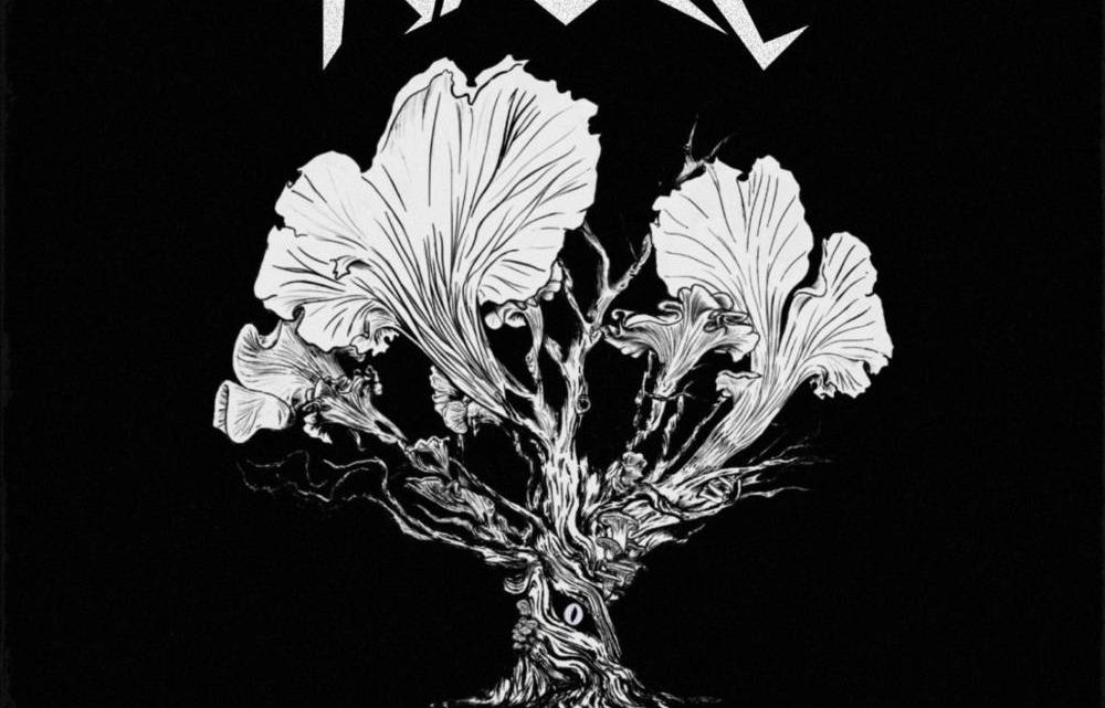 Decomposition, PYTHONIC