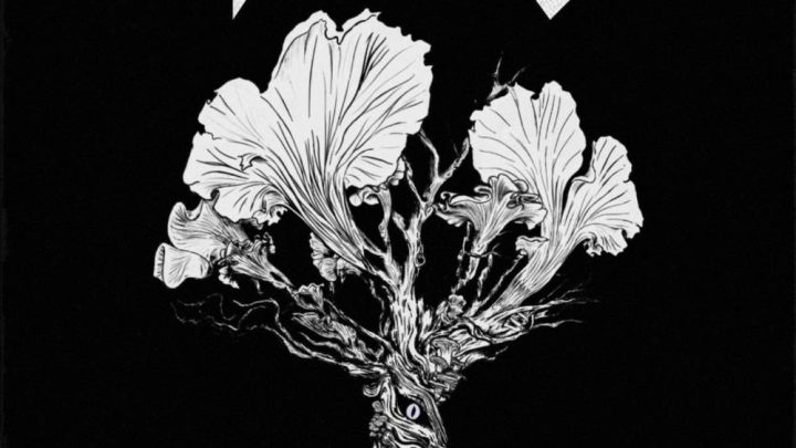 Decomposition, PYTHONIC