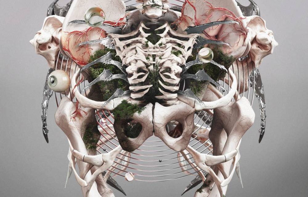 The Weight Of Sound, CRYSTAL LAKE