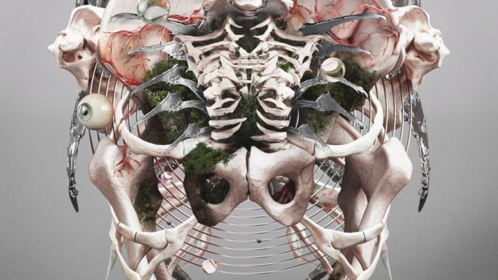 The Weight Of Sound, CRYSTAL LAKE