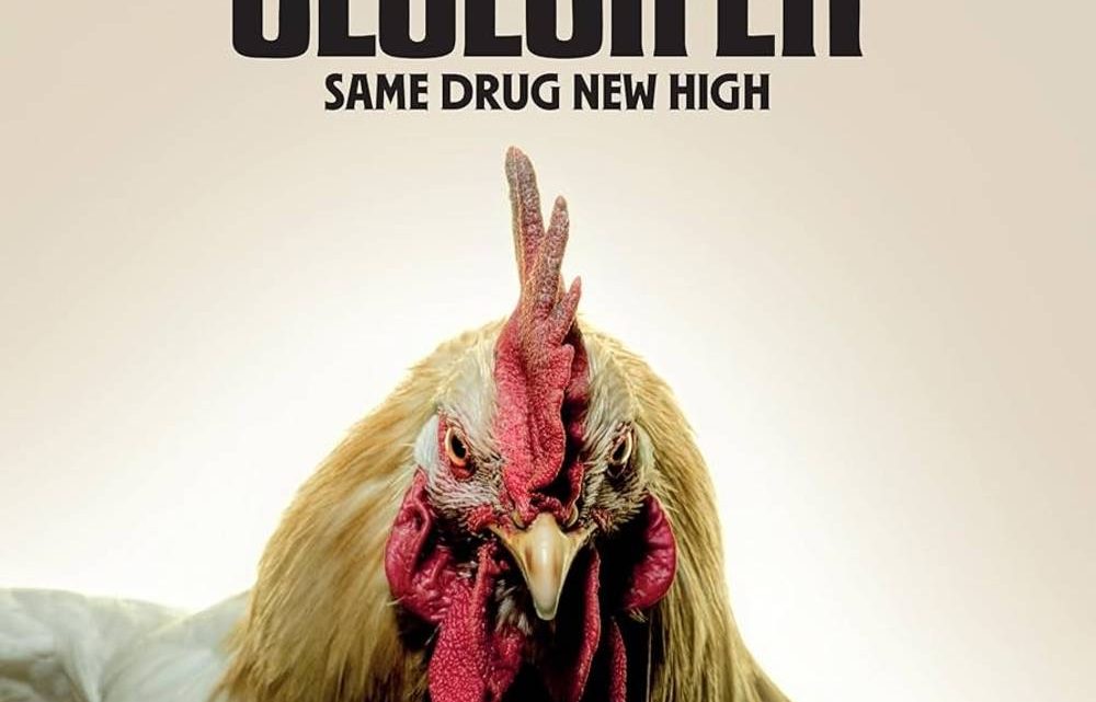 Same Drug New High, GLUECIFER