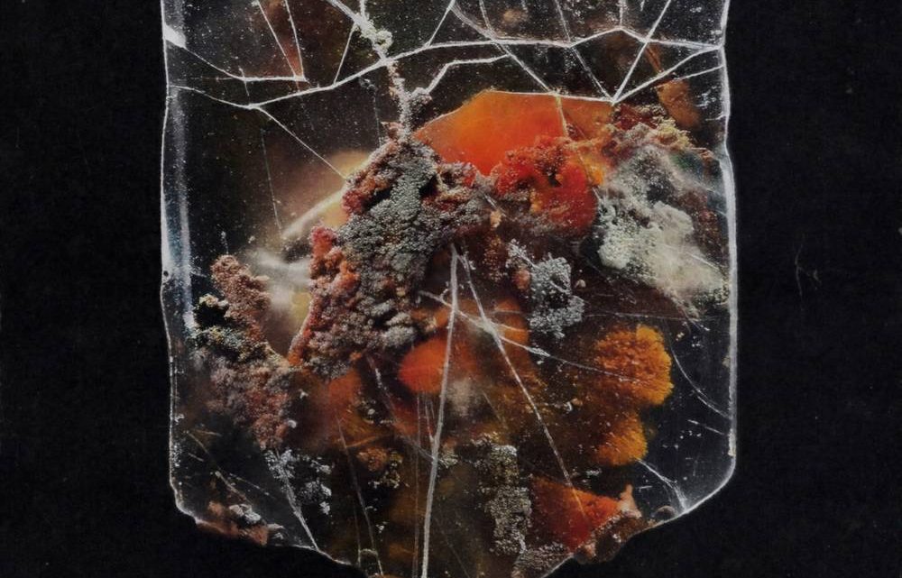 Death & Connection, SHIELDS