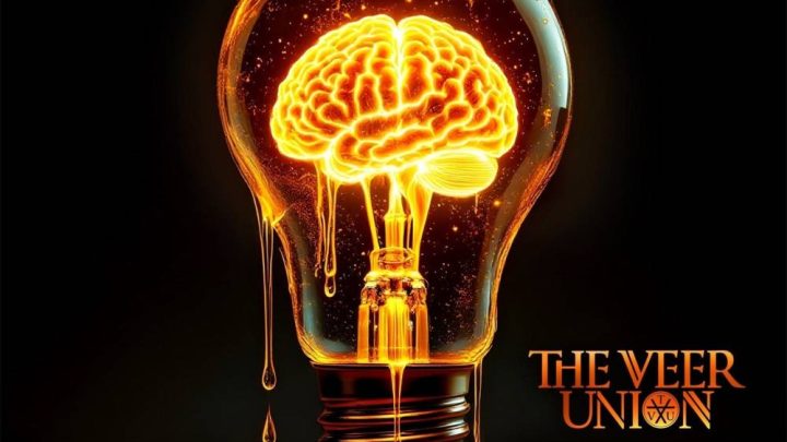 Reinvention, THE VEER UNION