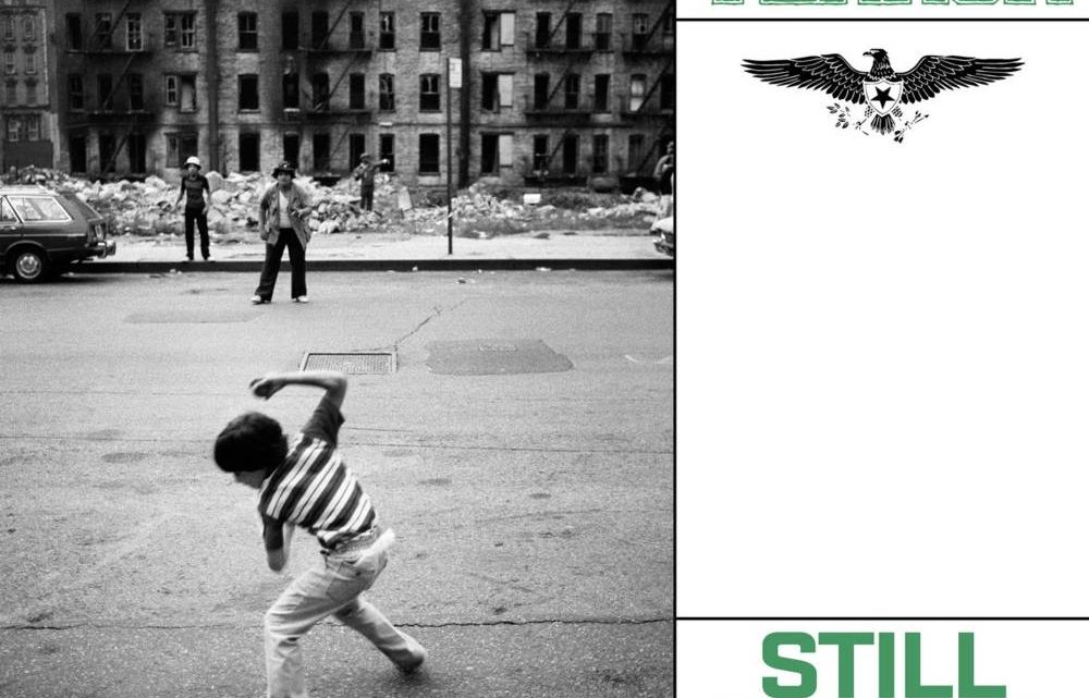 Still Suffer, TERROR