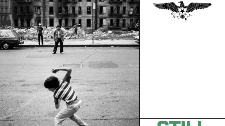 Still Suffer, TERROR