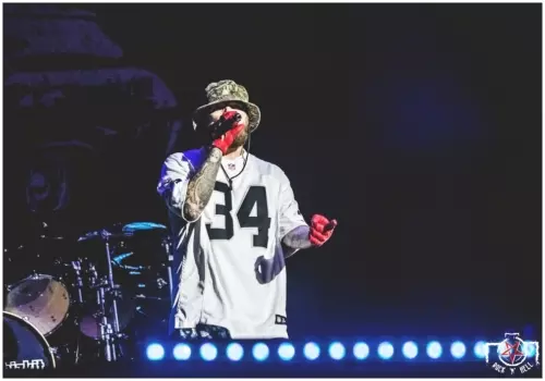 Hellfest 2018 - Day II - Limp Bizkit