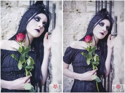 Claire B., DEAD ROSES