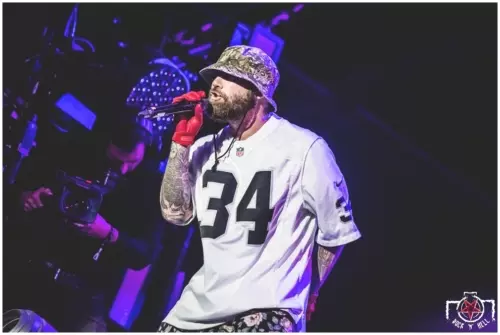 Hellfest 2018 - Day II - Limp Bizkit