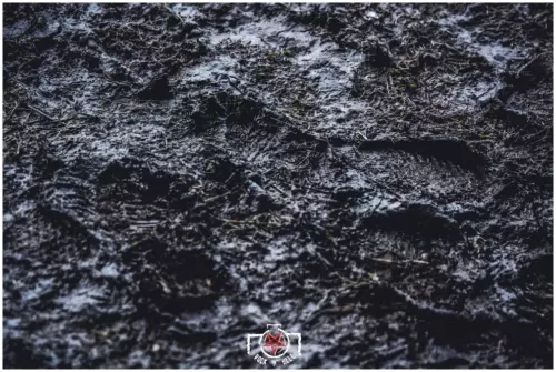 Motocultor 2019 - DAY III - Ambiance