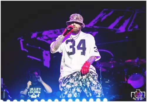 Hellfest 2018 - Day II - Limp Bizkit