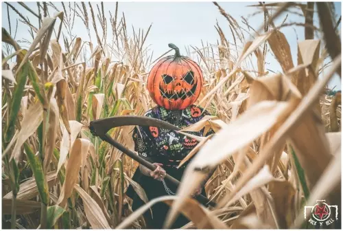 Pumpkin Spice Death
