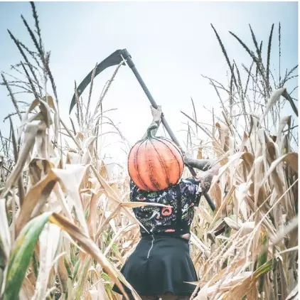 Pumpkin Spice Death