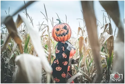 Pumpkin Spice Death