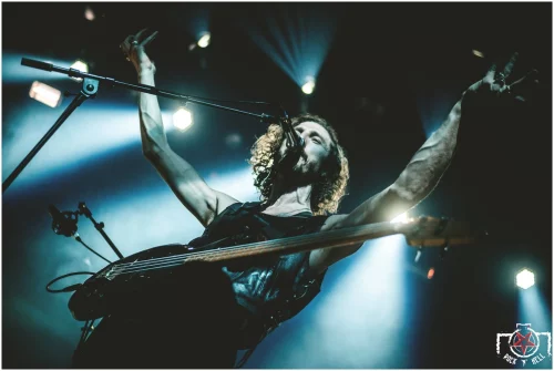 demob-happy-27.02-22