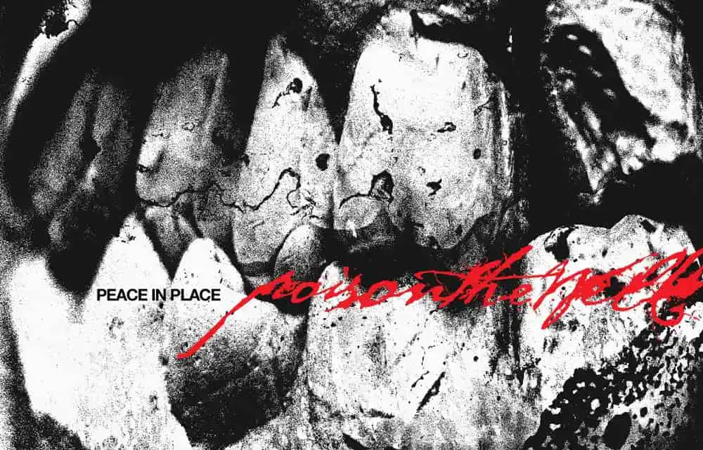 Peace In Place, POISON THE WELL