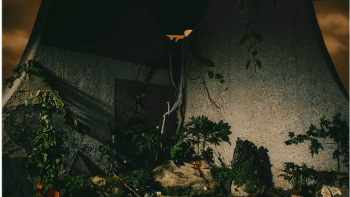 THE PLOT IN YOU, album éponyme
