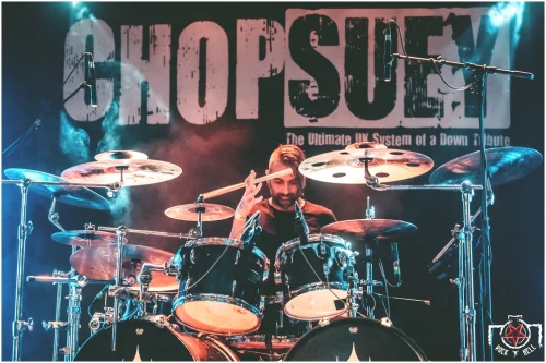 Chop-Suey-1
