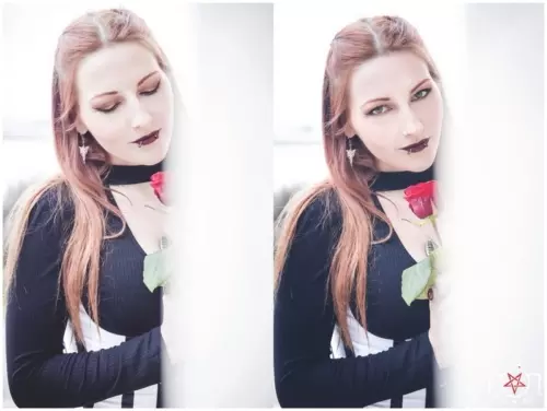 Plume, ROSES ARE RED