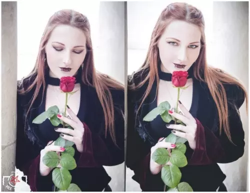 Plume, ROSES ARE RED