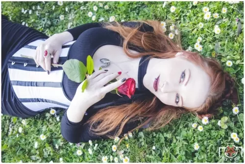 Plume, ROSES ARE RED