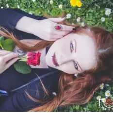 Plume, ROSES ARE RED
