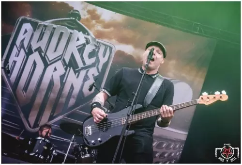 Hellfest 2016 - Day I - Audrey Horne