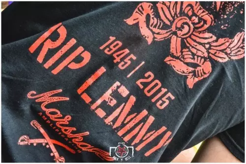 Hellfest 2016 - Day II - Ambiance