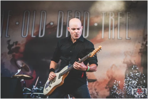 The Old Dead Tree @ Festival 666, 2025