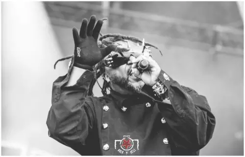 Hellfest 2017 - Day III - Skindred