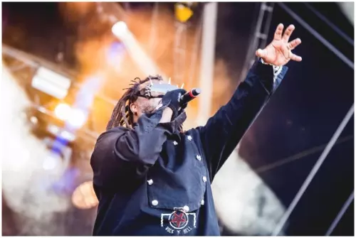 Hellfest 2017 - Day III - Skindred